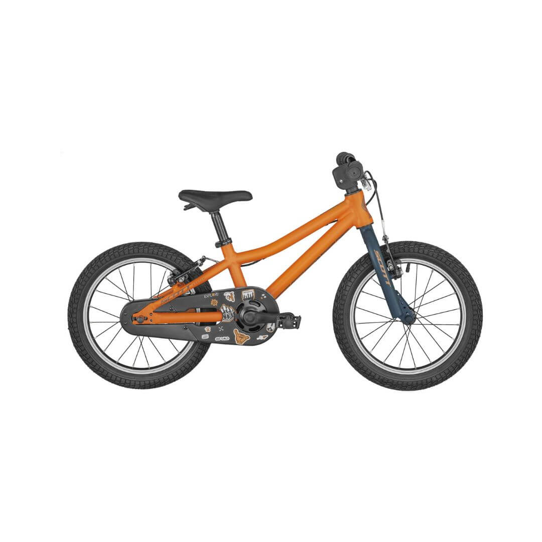 Scott Roxter 16" (2025)